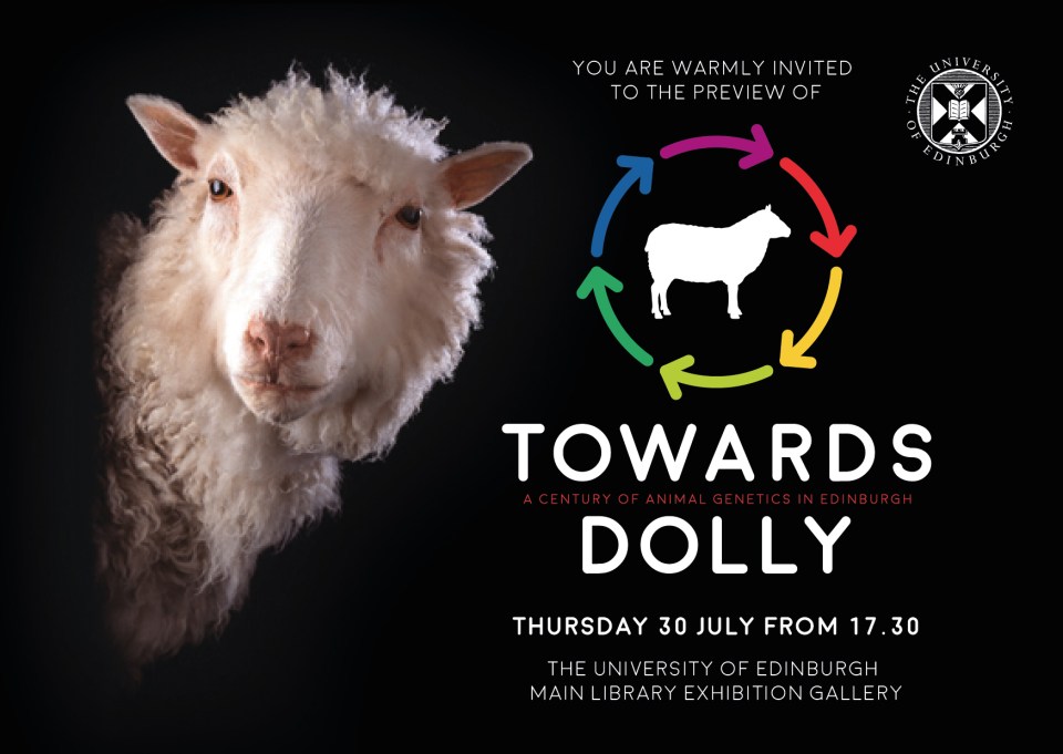 Towards Dolly private view