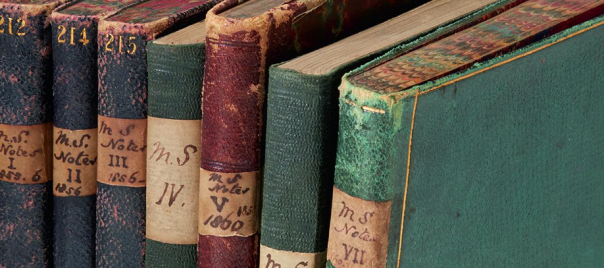 259l18404_9rp42_900-400_spines_2